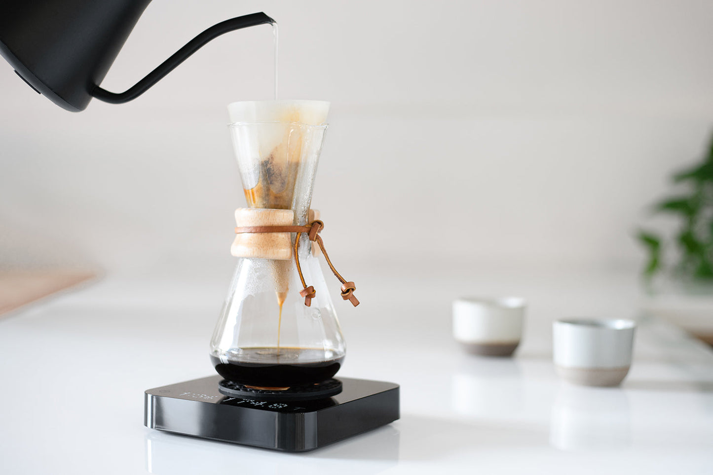 Pearl Model S - Naomi Joe Coffee