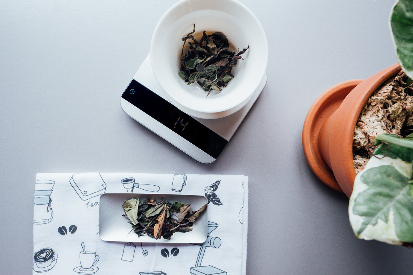 Tea Scoops - Naomi Joe Coffee