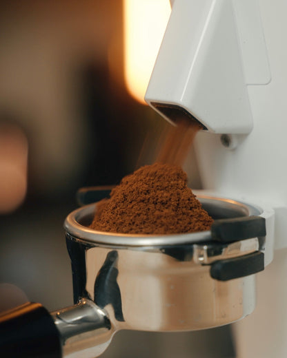 Turin DF64 Gen 2.5 Single Dose Coffee Grinder - Naomi Joe Coffee